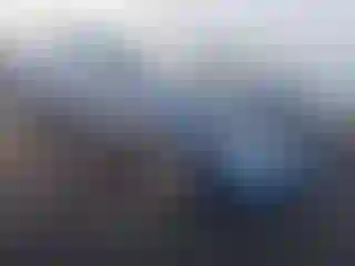 Vehicle Image- 2008 Honda Civic