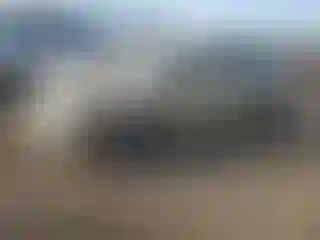 Vehicle Image- 2008 Honda Civic