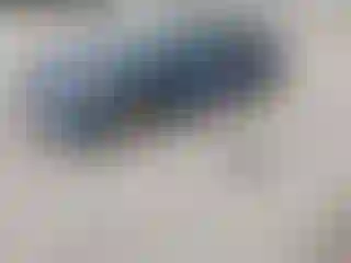 Vehicle Image- 2008 Honda Civic