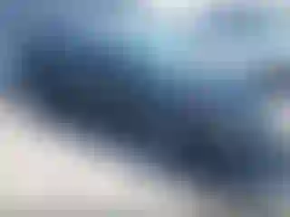 Vehicle Image- 2006 Honda Civic