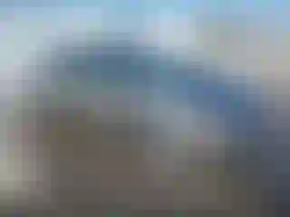 Vehicle Image- 2006 Honda Civic
