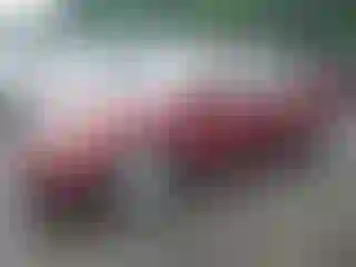 Vehicle Image- 2006 Honda Civic