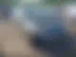 Vehicle Image- 2007 Honda Civic