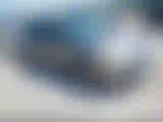 Vehicle Image- 2007 Honda Civic