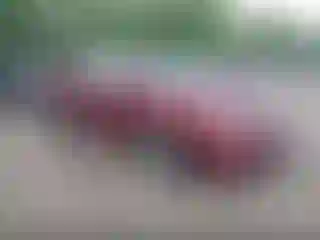 Vehicle Image- 2008 Honda Civic
