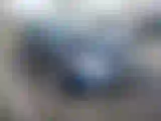 Vehicle Image- 2006 Honda Civic