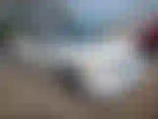 Vehicle Image- 2007 Honda Civic
