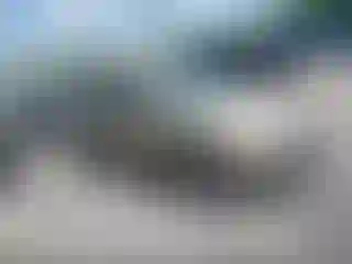 Vehicle Image- 2008 Honda Civic