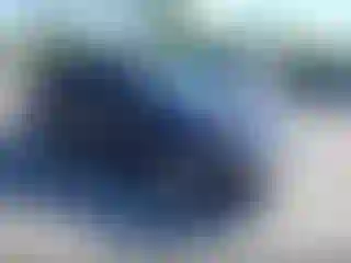 Vehicle Image- 2008 Honda Civic