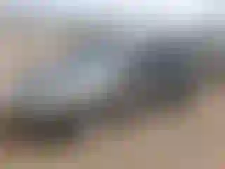 Vehicle Image- 2008 Honda Civic