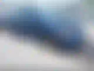 Vehicle Image- 2008 Honda Civic