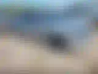 Vehicle Image- 2006 Honda Civic