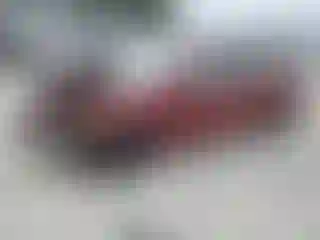 Vehicle Image- 2007 Honda Civic