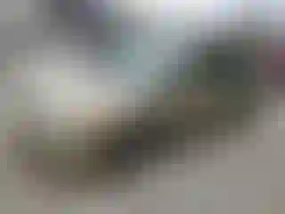 Vehicle Image- 2007 Honda Civic