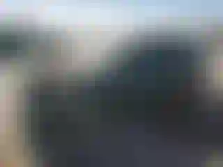 Vehicle Image- 2008 Honda Civic