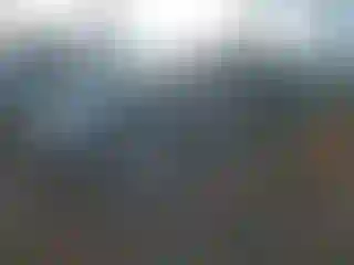 Vehicle Image- 2008 Honda Civic