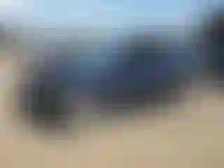Vehicle Image- 2008 Honda Civic