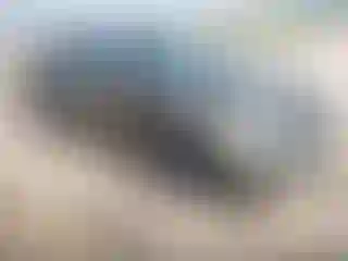 Vehicle Image- 2006 Honda Civic