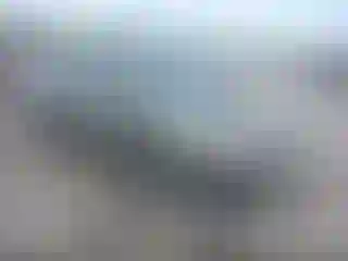 Vehicle Image- 2008 Honda Civic