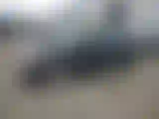 Vehicle Image- 2008 Honda Civic