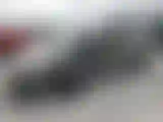 Vehicle Image- 2008 Honda Civic