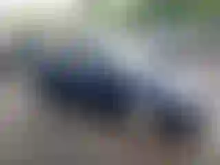 Vehicle Image- 2006 Honda Civic