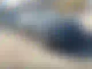 Vehicle Image- 2006 Honda Civic