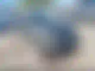 Vehicle Image- 2007 Honda Civic