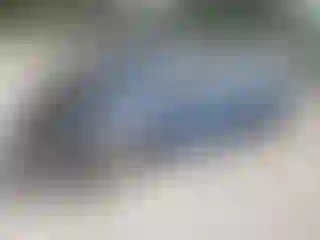 Vehicle Image- 2007 Honda Civic