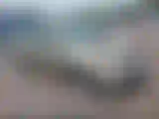 Vehicle Image- 2007 Honda Civic