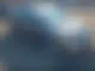 Vehicle Image- 2006 Honda Civic