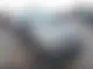 Vehicle Image- 2007 Honda Civic