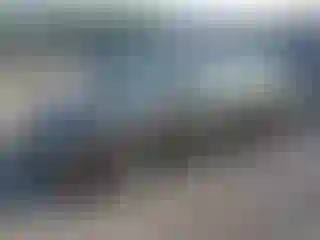 Vehicle Image- 2008 Honda Civic