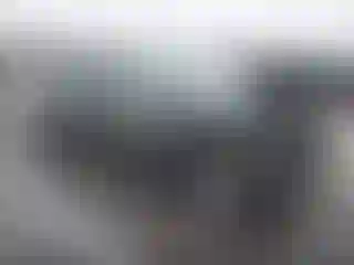 Vehicle Image- 2008 Honda Civic