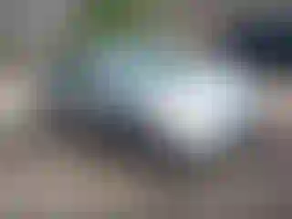 Vehicle Image- 2006 Honda Civic