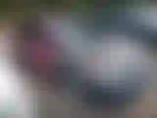 Vehicle Image- 2006 Honda Civic