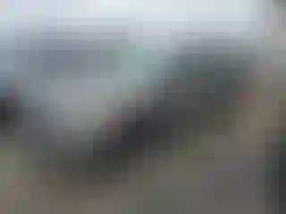 Vehicle Image- 2006 Honda Civic
