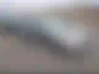 Vehicle Image- 2007 Honda Civic