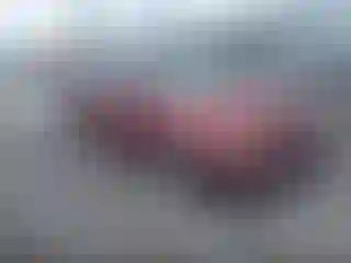 Vehicle Image- 2007 Honda Civic