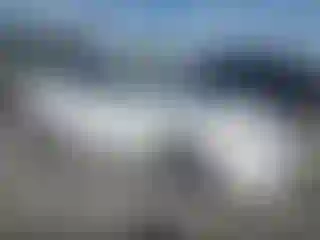 Vehicle Image- 2008 Honda Civic