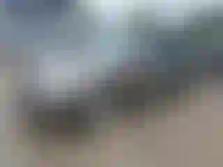 Vehicle Image- 2006 Honda Civic