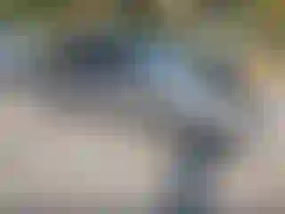 Vehicle Image- 2007 Honda Civic