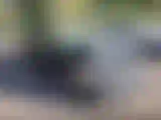 Vehicle Image- 2006 Honda Civic