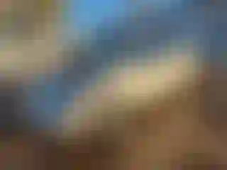 Vehicle Image- 2006 Honda Civic