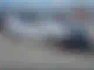 Vehicle Image- 2007 Honda Civic