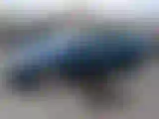 Vehicle Image- 2008 Honda Civic