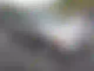 Vehicle Image- 2006 Honda Civic