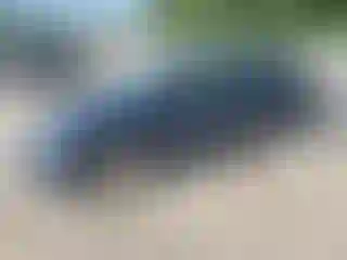 Vehicle Image- 2008 Honda Civic