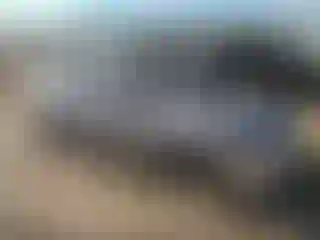 Vehicle Image- 2008 Honda Civic