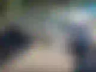 Vehicle Image- 2006 Honda Civic